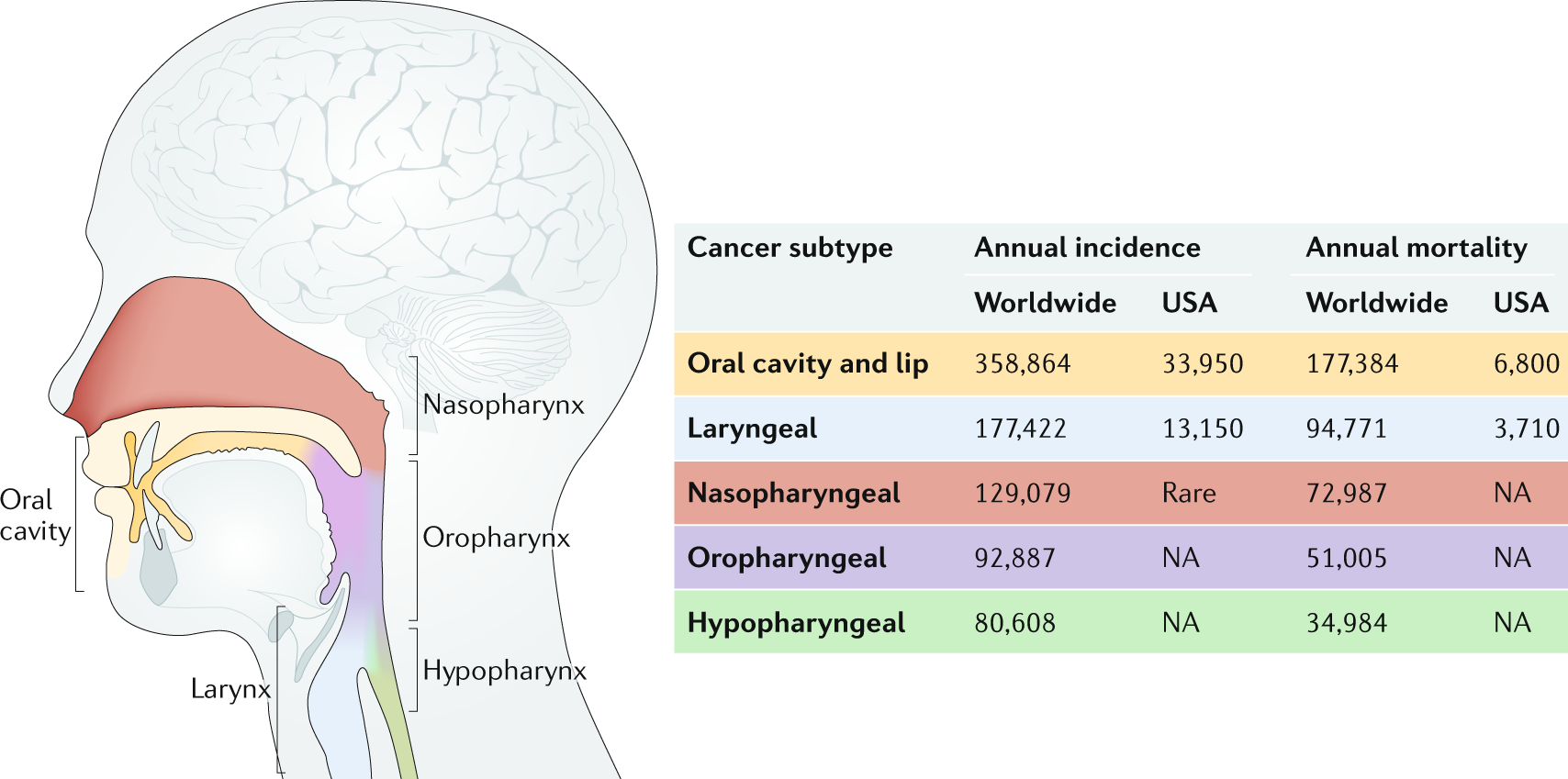 head and neck cancer oncologist in delhi