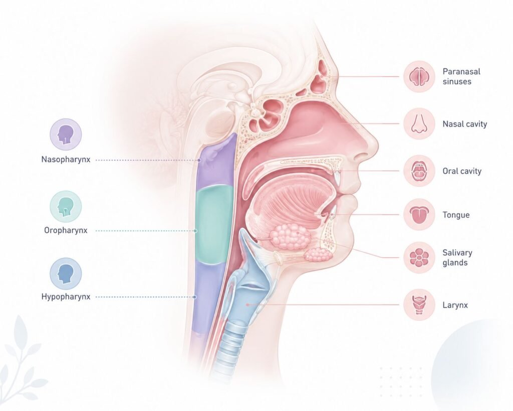 Head & Neck Cancer Treatment in Delhi