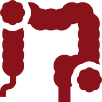 Colon & Rectal Cancer