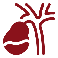 Gallbladder Disease