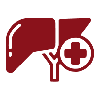 Liver & Pancreatic Cancer